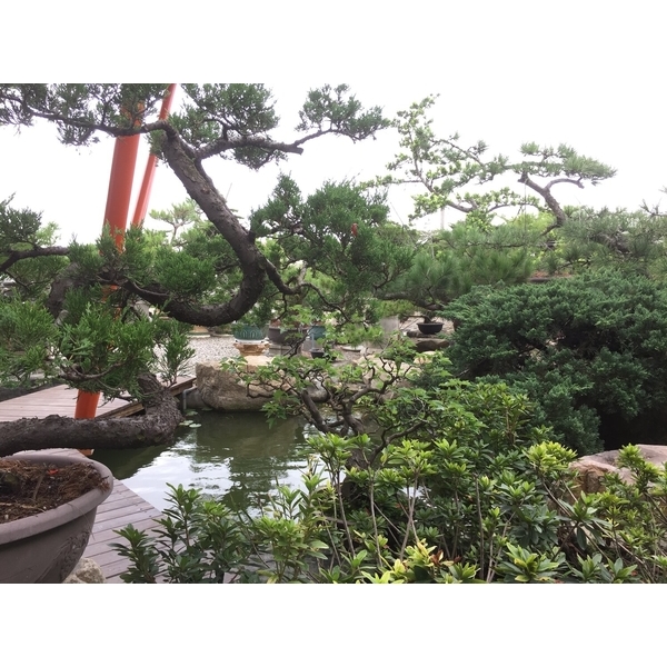 園區景緻-清宏造園