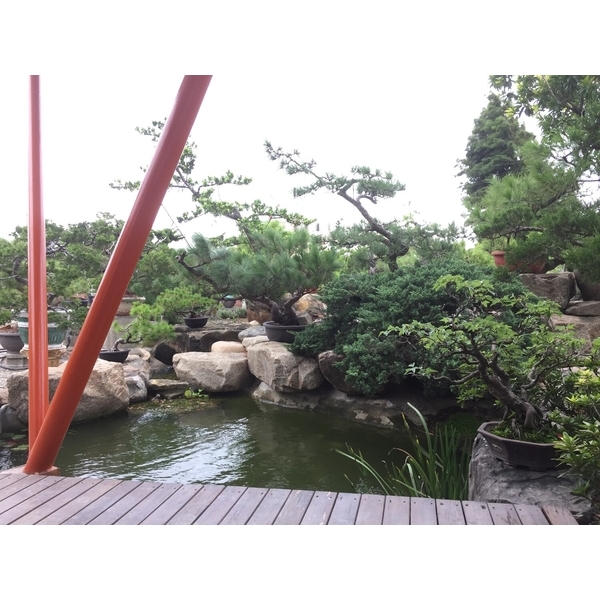 園區景緻-清宏造園