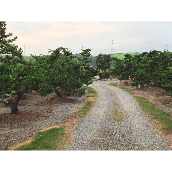 園區景緻-清宏造園