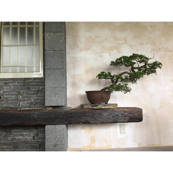 園區景緻-清宏造園
