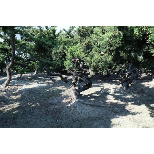 植栽園區-清宏造園