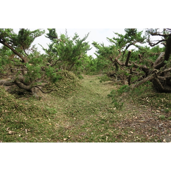 植栽園區