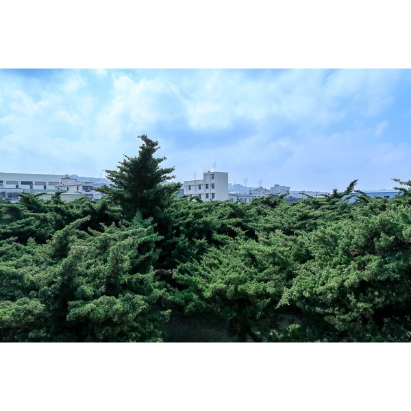 植栽園區-清宏造園