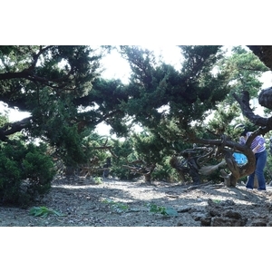 植栽園區-清宏造園