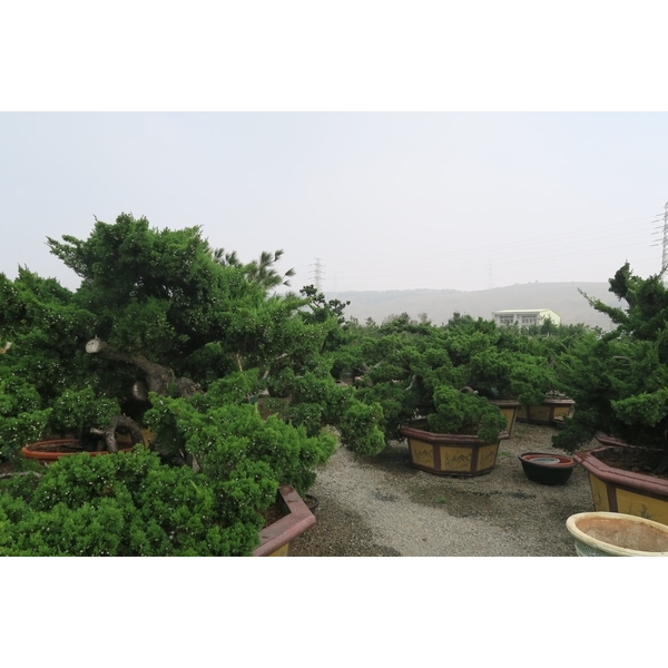 植栽園區-清宏造園