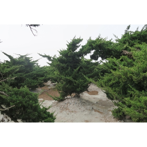 植栽園區-清宏造園