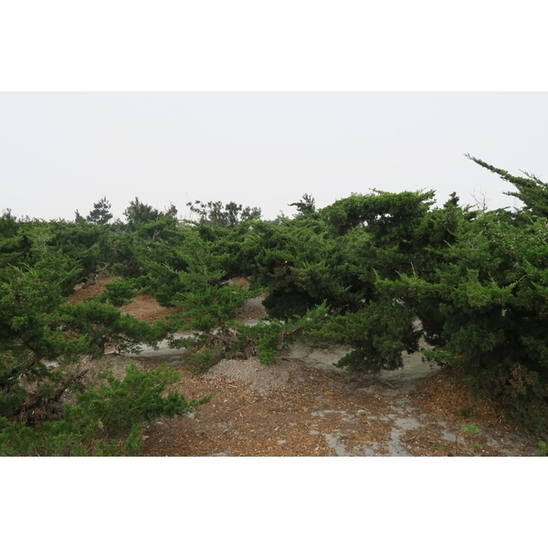 植栽園區-清宏造園