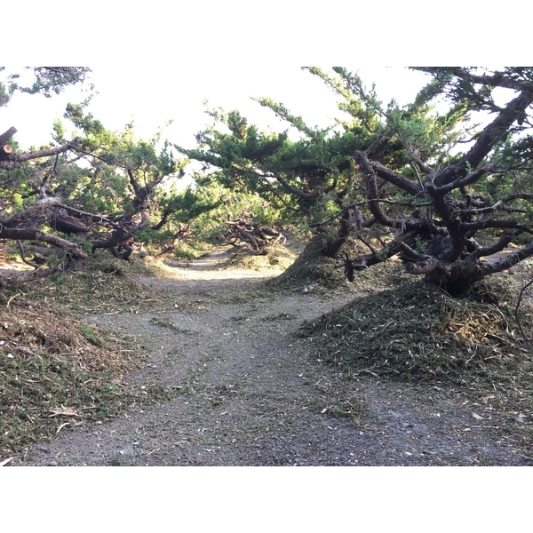 植栽園區-清宏造園