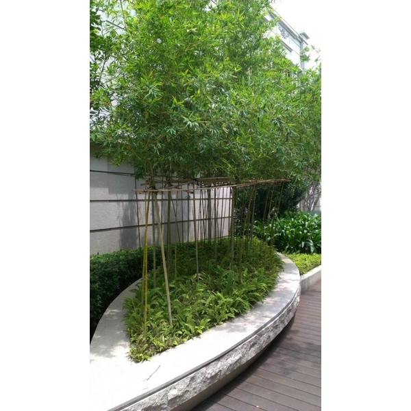 景觀設計-清宏造園