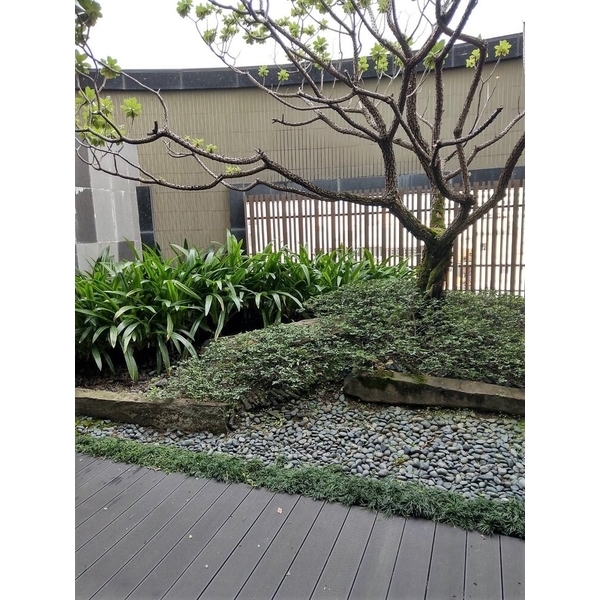 景觀設計