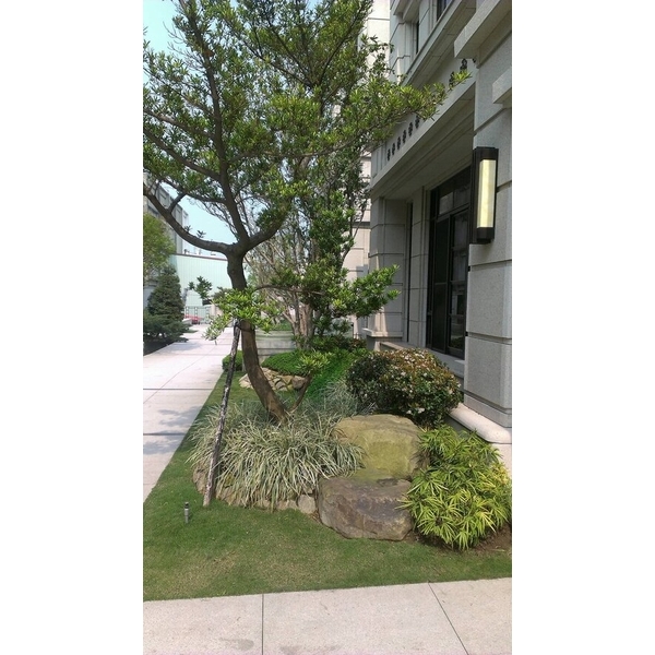 景觀設計-清宏造園