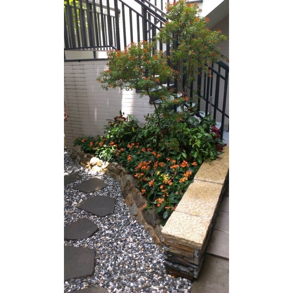 景觀設計