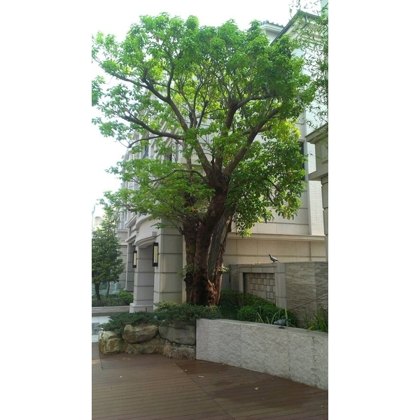 景觀設計-清宏造園