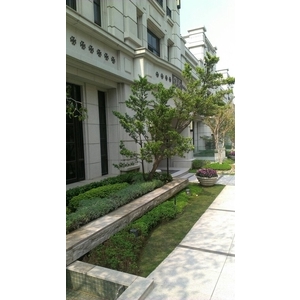 景觀設計-清宏造園