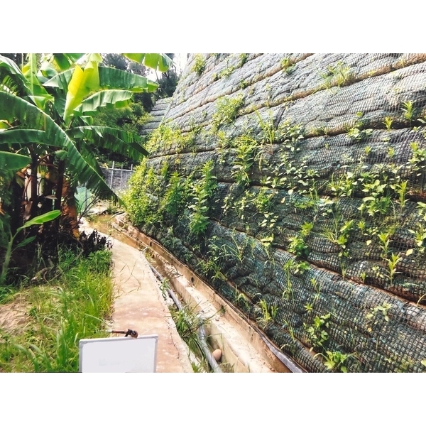 回包式加勁擋土牆-桃園長安路工地-擴疆實業有限公司