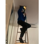 除白蟻