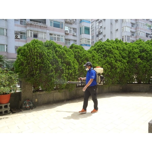 除蟲-除蟑螂、驅蚊-彼得害蟲驅除有限公司