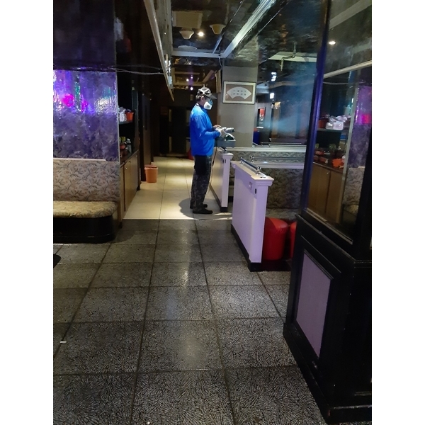 除蟲-除蟑螂、驅蚊-彼得害蟲驅除有限公司