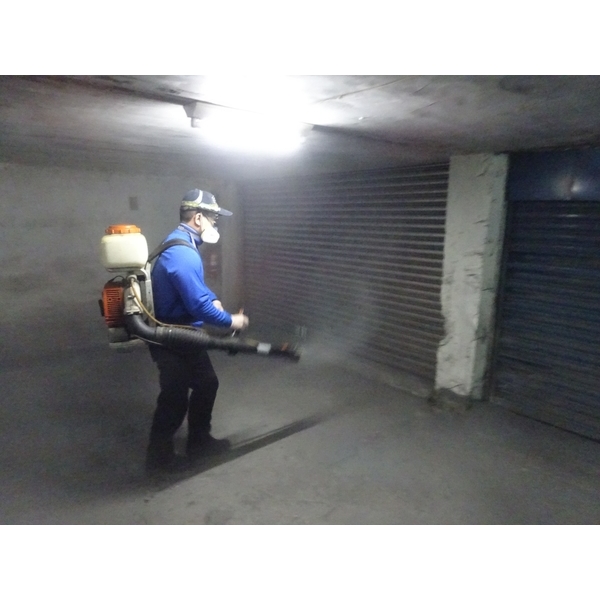 除蟲-除蟑螂、驅蚊-彼得害蟲驅除有限公司