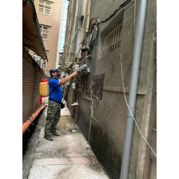 彼得害蟲驅除｜專業除蟑防治與長效維護-彼得害蟲驅除有限公司