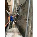 彼得害蟲驅除｜專業除蟑防治與長效維護