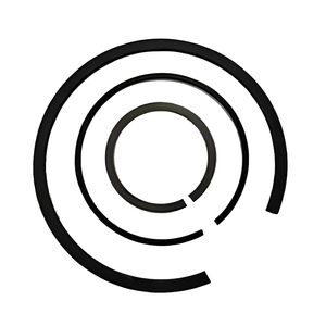 扁簧-弘志?環彈簧五金有限公司