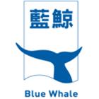 藍鯨國際科技股份有限公司,台北市銅雕造形銅雕,銅雕門