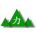 力霆實業有限公司,機場機場跑道