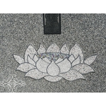 白鐵蓮花-鴻慶企業社