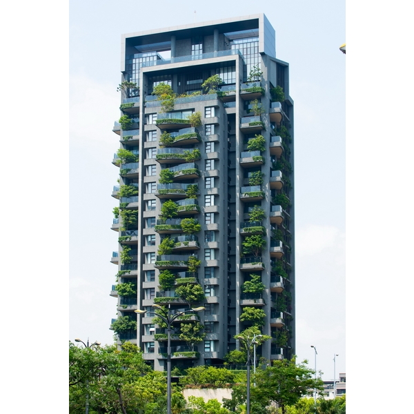 若山-台灣華可貴建材股份有限公司