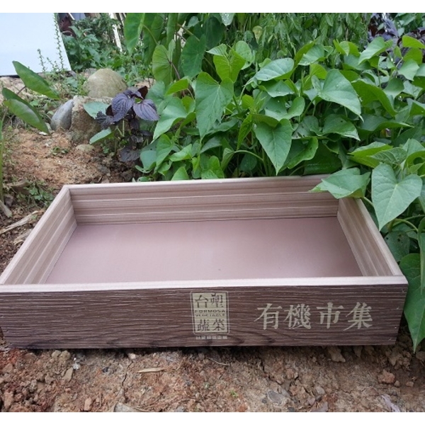 戶外材
