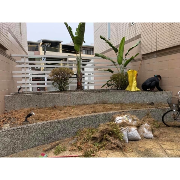 樹木修剪整理