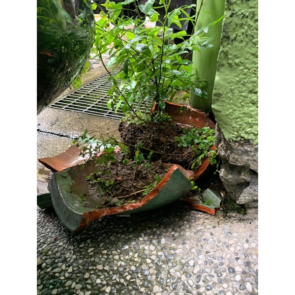 不銹鋼花盆-啟陽鐵工廠