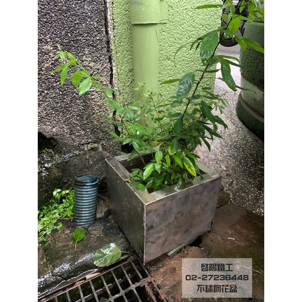 不銹鋼花盆-啟陽鐵工廠