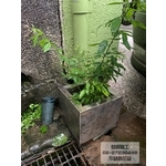 不銹鋼花盆