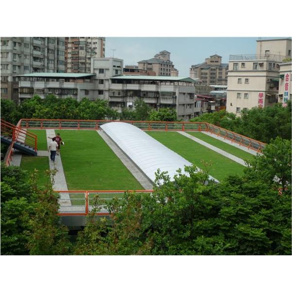 淡水新興國小綠屋頂-寶銳企業有限公司