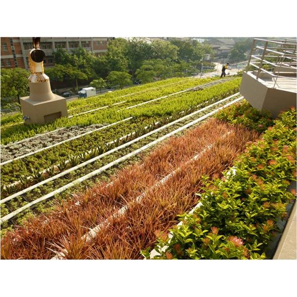 成大屋頂-寶銳企業有限公司