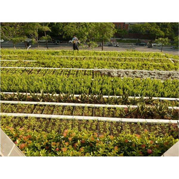 成大屋頂-寶銳企業有限公司