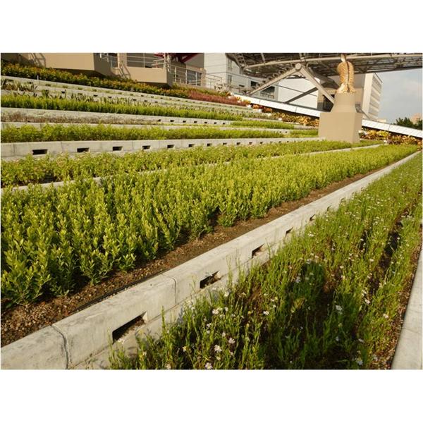 成大屋頂-寶銳企業有限公司