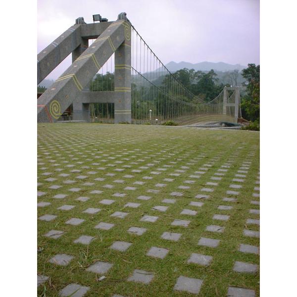 停車場植草磚10