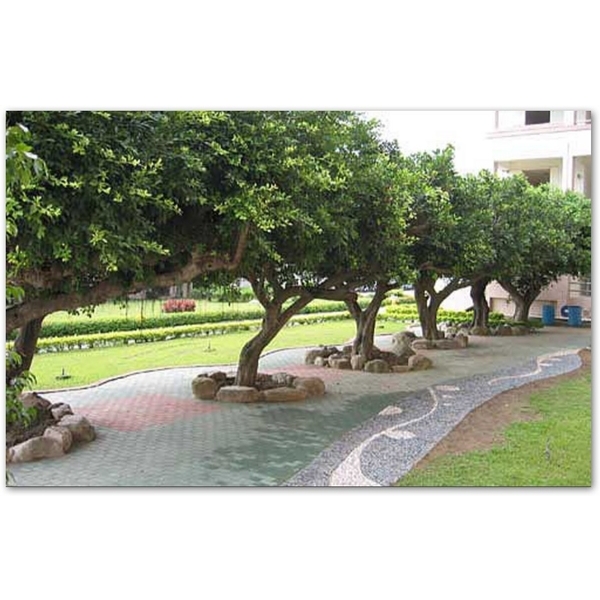 幼稚園景觀 幼稚園景觀