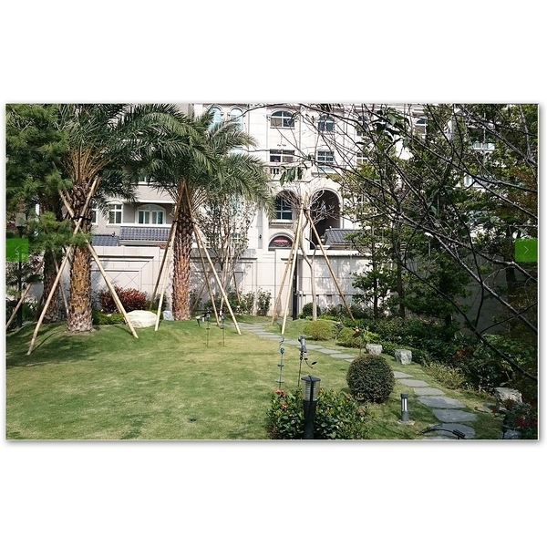 庭園景觀 庭園景觀