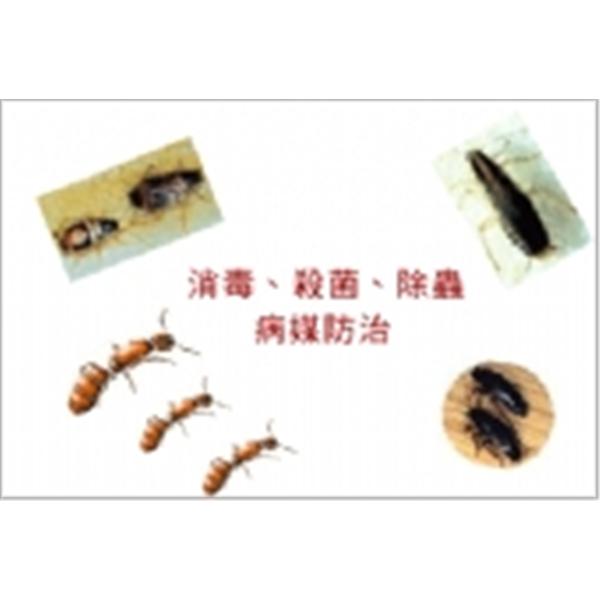 消毒.除蟲.病媒防治-東昇清潔工程有限公司