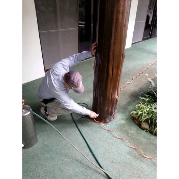 除蟲消毒工程-中華除蟲股份有限公司