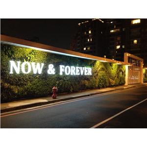 綠圍籬+安全走廊-鉑原企業有限公司