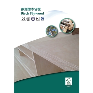 歐洲樺木合板－Birch Plywoo 規格型錄-德和木業有限公司
