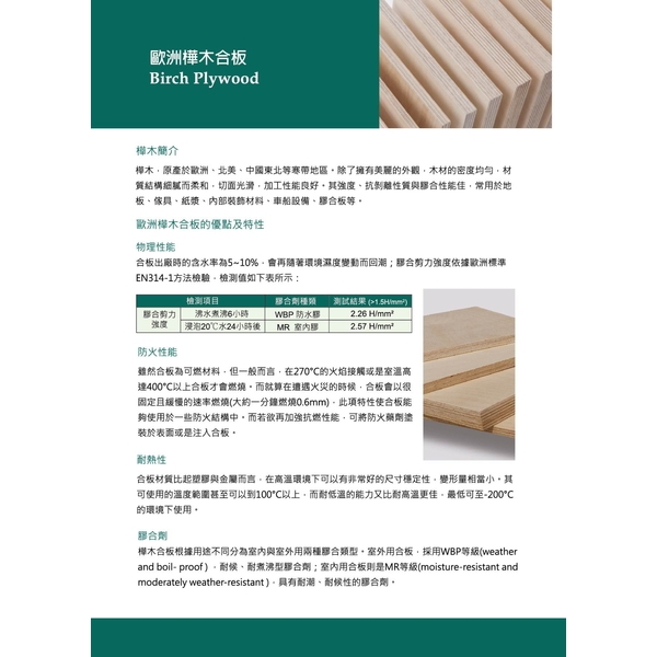 歐洲樺木合板－Birch Plywoo 規格型錄-德和木業有限公司