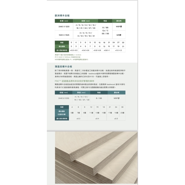 歐洲樺木合板-德和木業有限公司