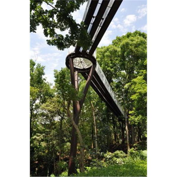 竹崎天空步道-鼎瀚金屬建材有限公司