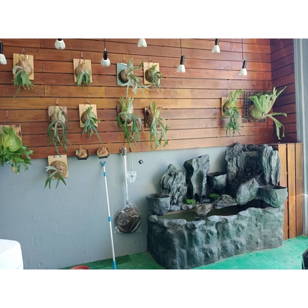FRP假山水池-綠大山水造景景觀企業社